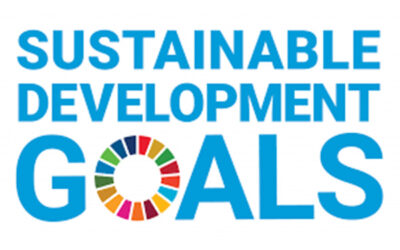 Sustainable Development Goals & Dreamforce